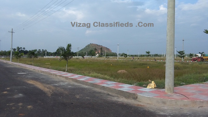 Image-5