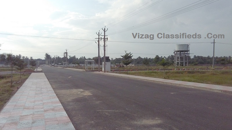 Image-7
