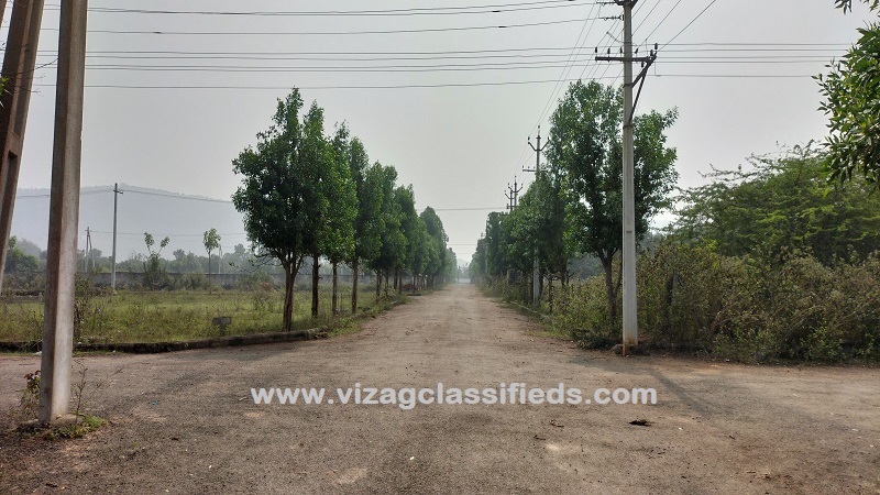 Image-6